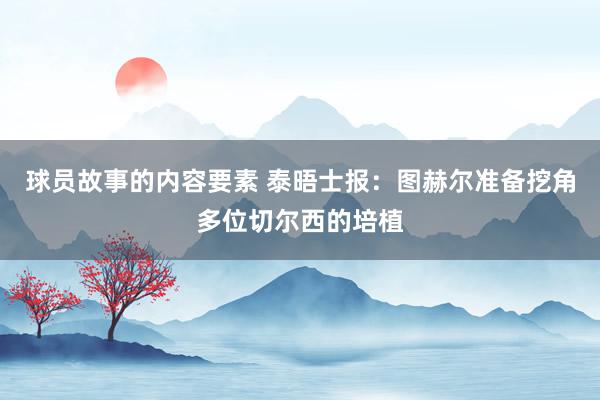 球员故事的内容要素 泰晤士报：图赫尔准备挖角多位切尔西的培植