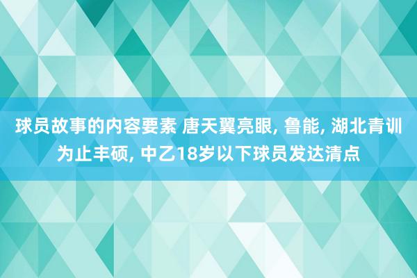 球员故事的内容要素 唐天翼亮眼, 鲁能, 湖北青训为止丰硕, 中乙18岁以下球员发达清点