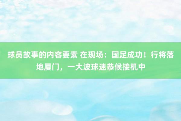 球员故事的内容要素 在现场：国足成功！行将落地厦门，一大波球迷恭候接机中