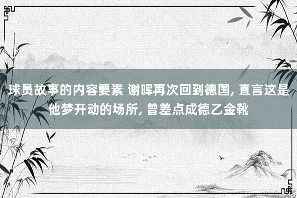 球员故事的内容要素 谢晖再次回到德国, 直言这是他梦开动的场所, 曾差点成德乙金靴