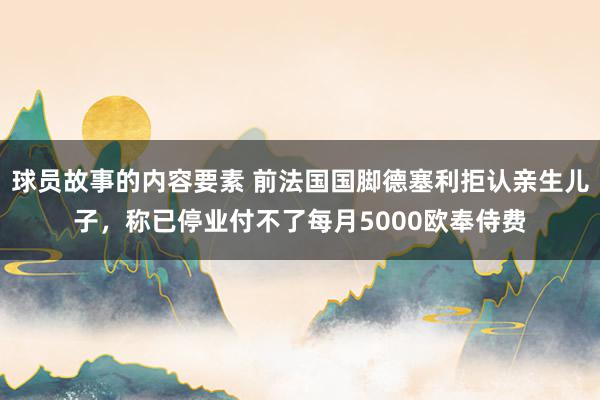 球员故事的内容要素 前法国国脚德塞利拒认亲生儿子，称已停业付不了每月5000欧奉侍费