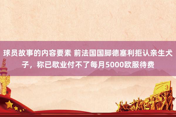 球员故事的内容要素 前法国国脚德塞利拒认亲生犬子，称已歇业付不了每月5000欧服待费